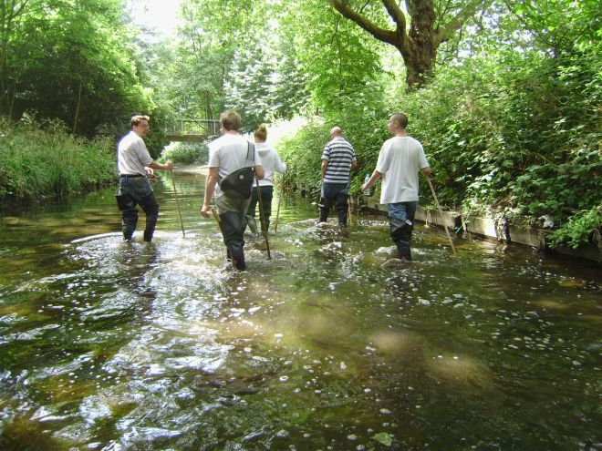 Explore Lewisham's rivers