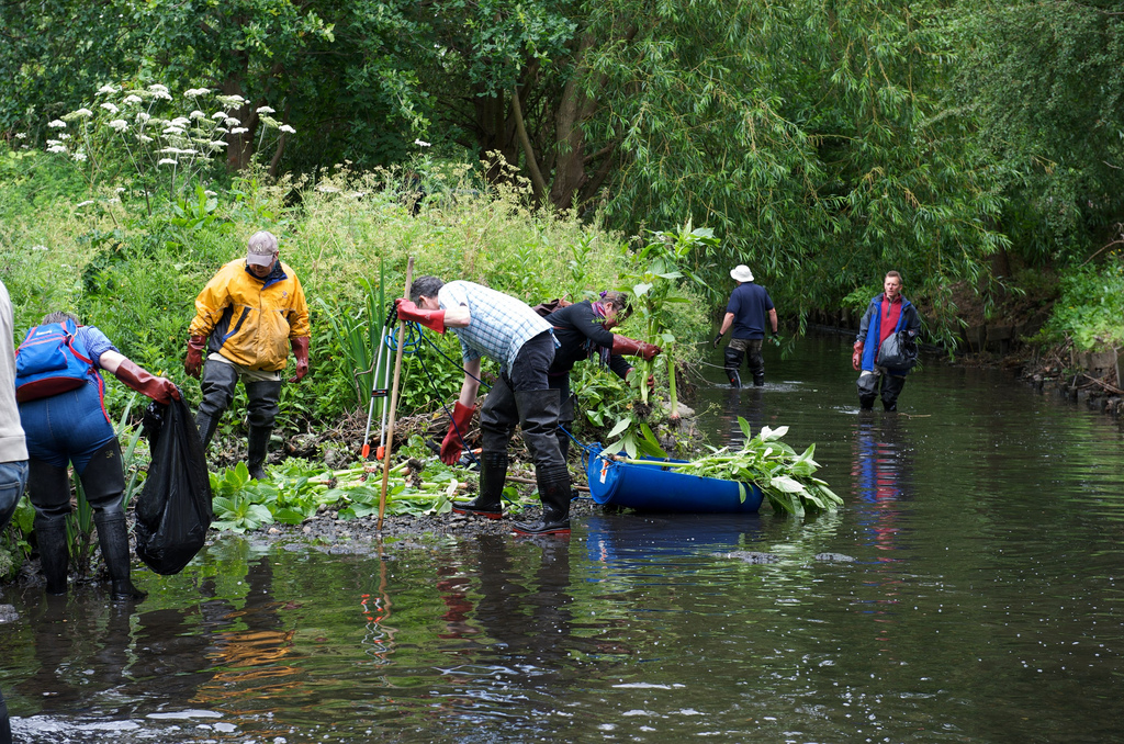 5785985935_279f5d6e34_b