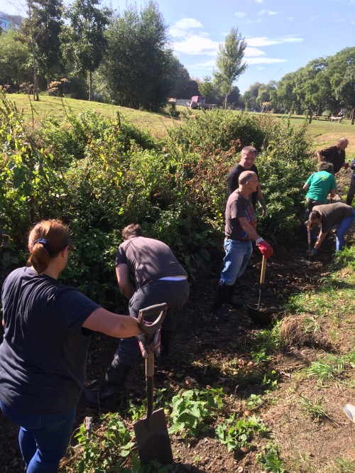 Clearing the secondary channel in Ladywell Fields